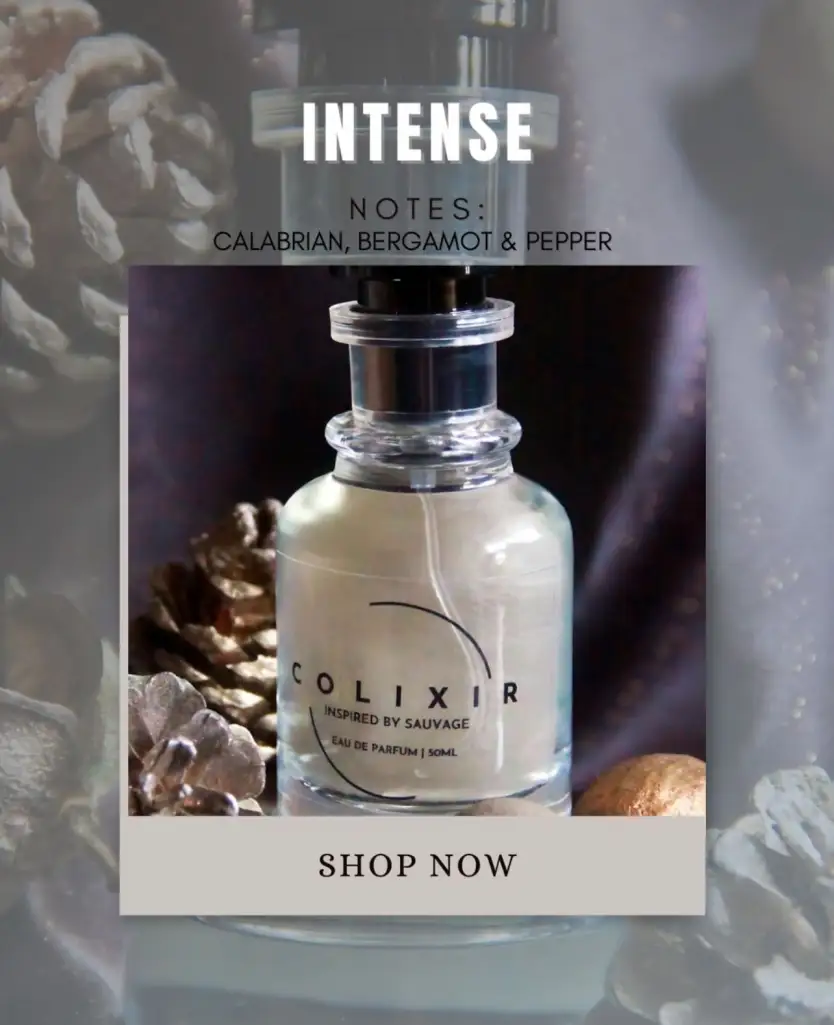 Intense – Impression of Sauvage | Long Lasting Fresh Spicy Perfume for Men