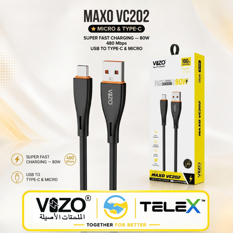 Vizo Maxo VC202 Type-C 80W Super Fast Charging Cable