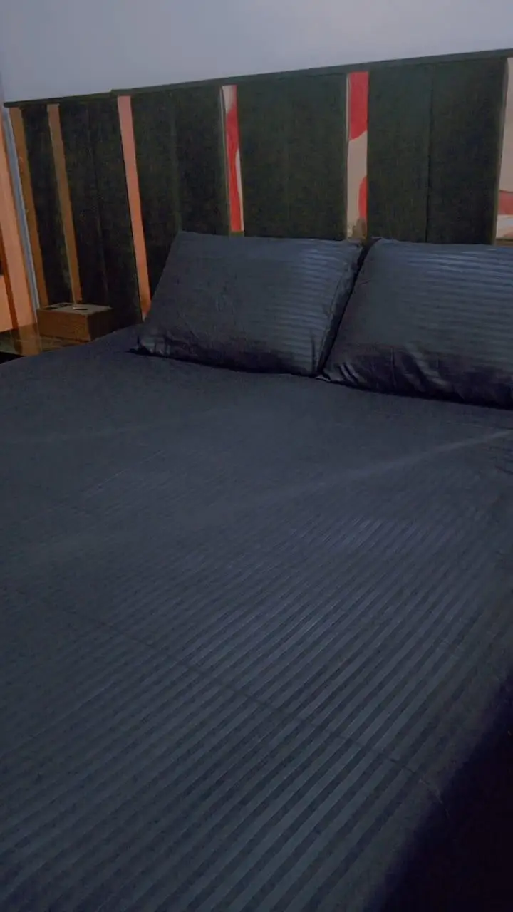 3 Pcs luxury Cotton Sotton Plain Double Bedsheet