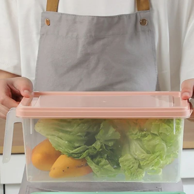 Plastic Transparent Covered Refrigerator Vegetable And Fruit Sorting Storage Food Storage Box