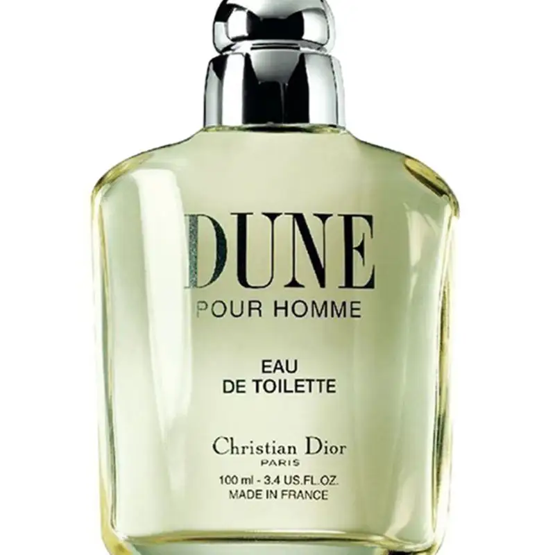 Dior Dune Pour Homme EDT 100ml for Men