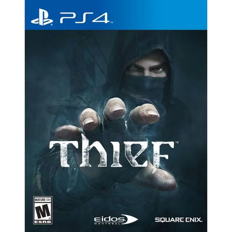 The Thief For Game PS4