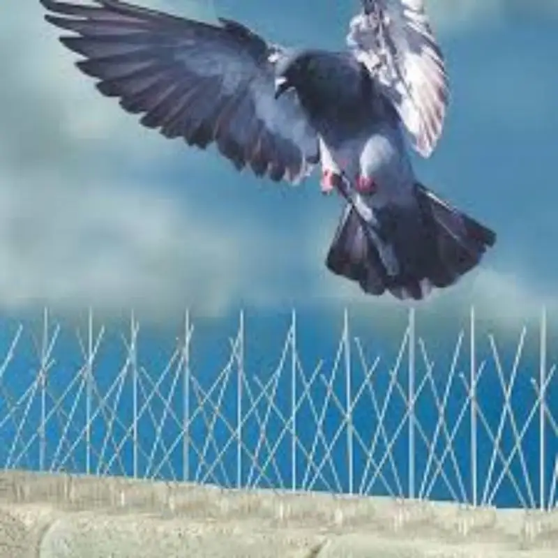 Bird Spikes 12″ Inches