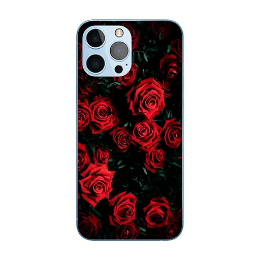 Customized Mobile Case for Apple iPhones (Roses Design)
