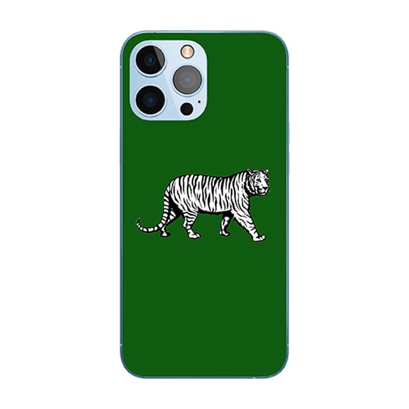 Customized Mobile Case for Apple iPhones (PMLN Flag Design)