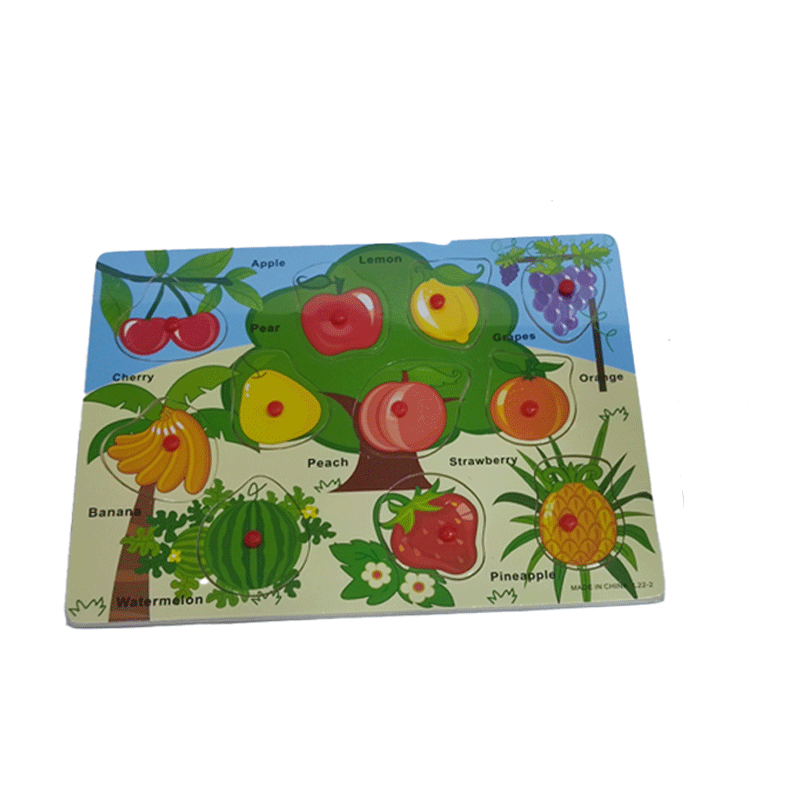 Learning Fruit Name wooden Puzzle For kids