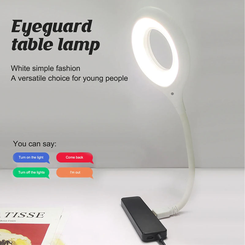 USB Smart Voice Control LED Lamp