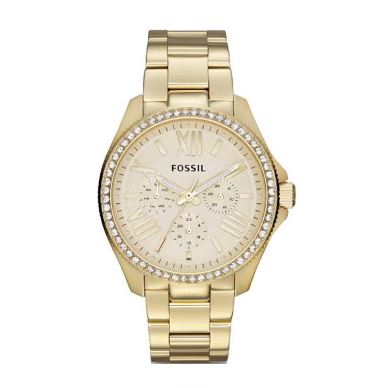 Fossil Cecile Gold Stainless Steel Silver Dial Watch For Ladies - AM4510