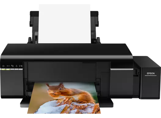 Epson L805 Printer by Print Eazy