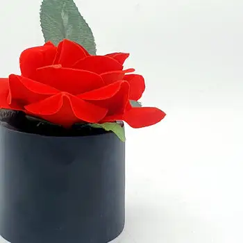 Red Rose - Him & Her - Set Of 2