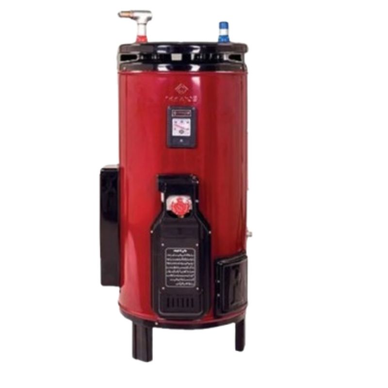 Nasgas Geyser 30 Gallon Electric + Gas DEG-3030 Super Fast Heating DLX (Double Safety) Heavy Gauge 12 x 14 Water Tank with Official warranty
